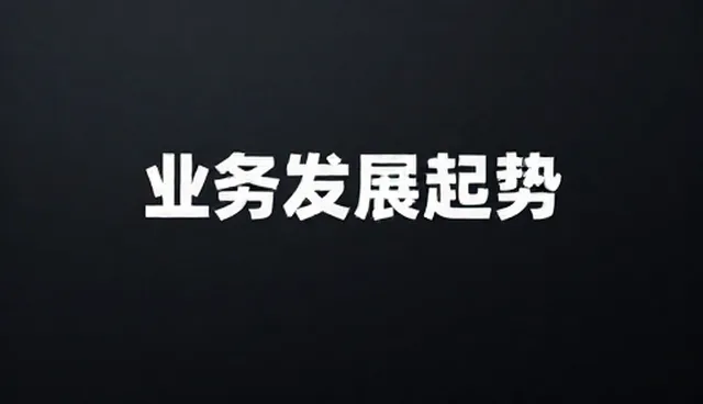 战略规划服务在业务发展趋势中的适用情况与限制分析
